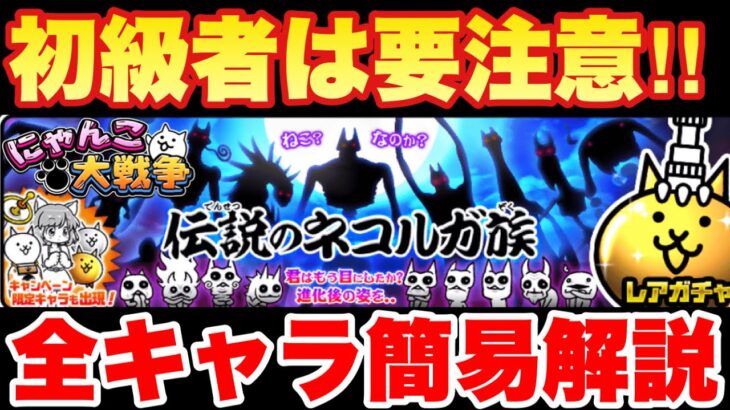 【実況にゃんこ大戦争】伝説のネコルガ族ガチャきたぞ！初級者は要注意‼︎全キャラ簡易解説