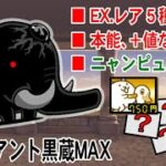 黒蔵Lv.MAX　EX.レア５キャラのみ放置攻略　ネコスーパーカー　本能、+値なし　しちろーゲーム