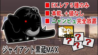 黒蔵Lv.MAX　EX.レア５キャラのみ放置攻略　ネコスーパーカー　本能、+値なし　しちろーゲーム