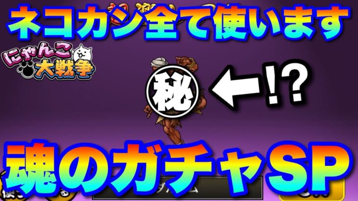 【実況にゃんこ大戦争】ネコカン全部使います！ストファイコラボガチャSP！！