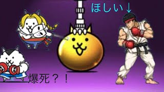 にゃんこ大戦争　　ストリートファイターコラボのガチャ引いた