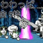 絶かわわっぱ　本能なし無課金5枠【にゃんこ大戦争】