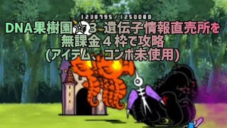 DNA果樹園☆３ 遺伝子情報直売所を無課金４枠で攻略(アイテム、コンボ未使用)【にゃんこ大戦争】