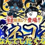 にゃんこ大戦争パート6極ネコ祭レアチケ猫缶どっちともないけど引いてやる