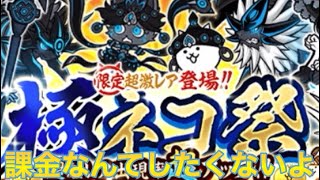 にゃんこ大戦争パート6極ネコ祭レアチケ猫缶どっちともないけど引いてやる