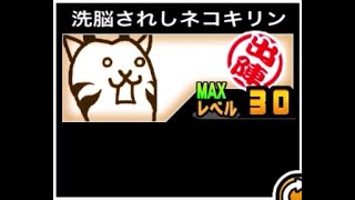 【にゃんこ大戦争】高速攻撃で返り討ちにされるぜ！呪いが空気　洗脳されしネコキリンのトリセツ　#637