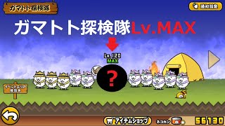 にゃんこ大戦争 無課金でネコカンを大量ゲットする裏技！？ガマトト探検隊Lv.MAX