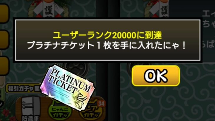 遂にユーザーランクが2万突破！【にゃんこ大戦争】