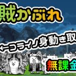 海賊かぶれ | 無課金攻略【にゃんこ大戦争/The Battle Cats】