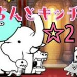 【整頓】天界バル横丁 ☆2 きちんとキッチン 無課金編成≪にゃんこ大戦争≫