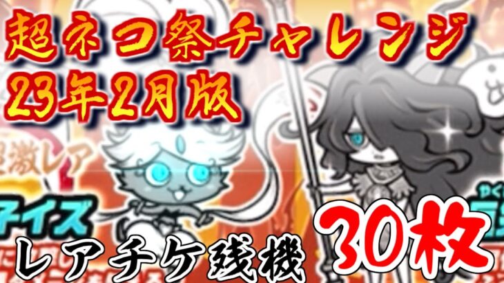 【にゃんこ大戦争】2022年は勝率5割だったので今年は勝ちたい超ネコ祭チャレンジ　23年1月