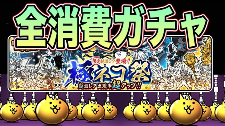 【にゃんこ大戦争】チケット、猫缶全消費で極ネコ祭ガチャした結果。。。