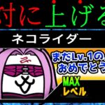 【初心者注意】ネコライダーのレベルを上げてはいけません　にゃんこ大戦争