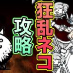 【にゃんこ大戦争】【狂乱】ヴァルキリーが全力の時止めを披露