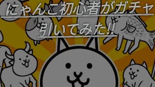 にゃんこ大戦争初心者