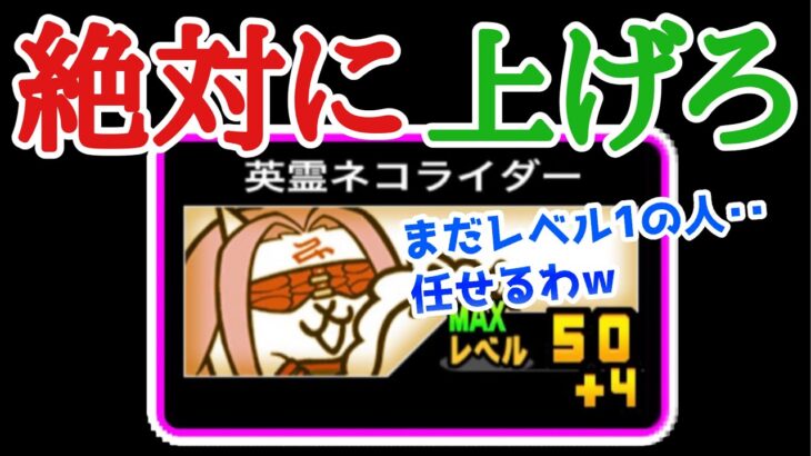 【初心者注意】ネコライダーのレベルは絶対上げましょう　にゃんこ大戦争