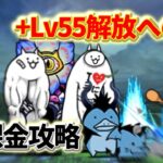 ちびネコ大試練 +Lv55解放への道 無課金攻略【にゃんこ大戦争】