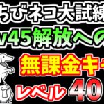 【にゃんこ大戦争】ちびネコ大試練 +Lv45解放への道を低レベル無課金キャラで簡単攻略！【The Battle Cats】