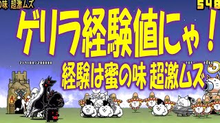 【にゃんこ大戦争】ゲリラ経験値にゃ！ 経験は蜜の味 超激ムズ  Nyanko Great War