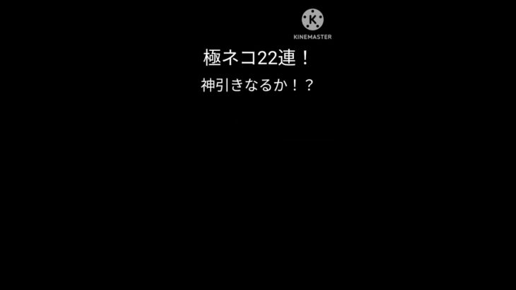 にゃんこ大戦争　極ネコ祭　神引きなるか！？　＃にゃんこ大戦争　＃ガチャ　＃爆死　＃神引きできず　＃shorts