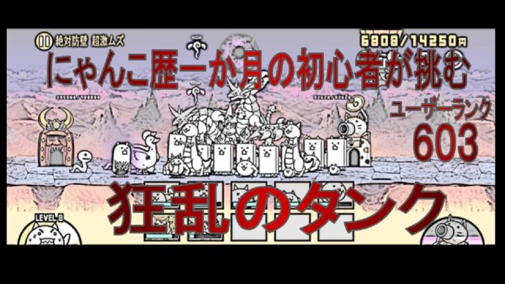 【にゃんこ大戦争】ど初心者が挑む！狂乱のタンク！