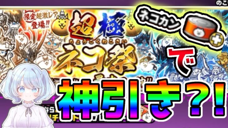 【にゃんこ初心者】ネコ缶大量消費で神引きなるか？！超激レア10％の超極ネコ祭！【にゃんこ大戦争】