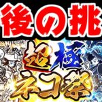 【にゃんこ大戦争】GWが終わっても俺の超極ネコ祭は終わらねぇ！最後のリベンジで報われたい男【本垢実況Re#1672】