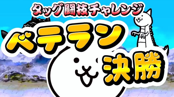 にゃんこ大戦争 –  ベテラン 決勝 – タッグ闘技チャレンジ #9 ┊︎ 低レベル 無課金 攻略 ┊ The battle cats