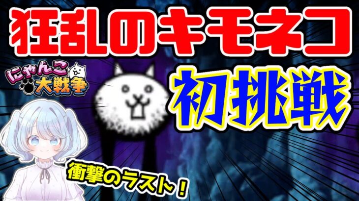 【神回】狂乱のキモネコとの長時間に及ぶ激戦！！少ないキャラでの応戦、果たして結果は…？！【にゃんこ大戦争】