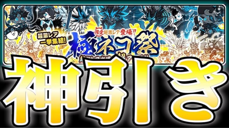 こんなに当たるの？極ネコ祭【にゃんこ大戦争】