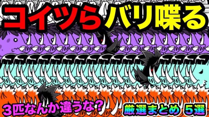 もしわんこ軍団とにゃんこ軍団が喋ったら、イノシシ軍団が大暴れw【厳選まとめ５選】　にゃんこ大戦争