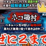 《にゃんこ大戦争》グッダグダ回。見るべからず。『ネコ鳴村 王冠2』を同一編成で1発採点報酬獲得に挑んだけれども・・・。