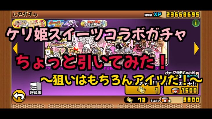 【にゃんこ大戦争】ケリ姫スイーツコラボガチャちょっと引いてみた！～狙いはもちろんアイツだ！～