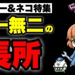 【実況にゃんこ大戦争】ジェアー&ネコ特集「唯一無二の長所」