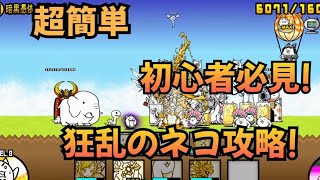 【にゃんこ大戦争】初心者必見!狂乱のネコ攻略!