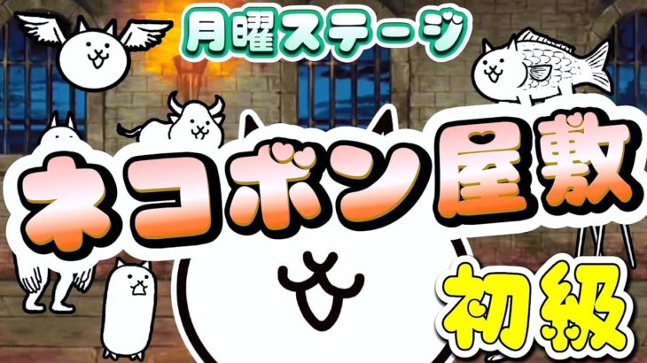 ネコボン屋敷 初級 – 月曜ステージ #1 ┊︎ 低レベル 無課金 攻略 ┊ にゃんこ大戦争 ┊ The battle cats