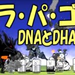 【にゃんこ大戦争】ガラ・パ・ゴス DNAとDHA ★1   Nyanko Great War. Battle Cat.
