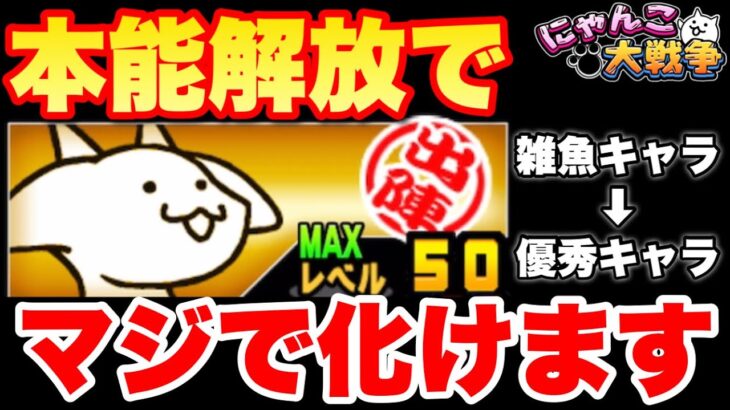 【実況にゃんこ大戦争】ちびドラゴンの本能解放した結果➡︎本気出さなくても超優秀になった