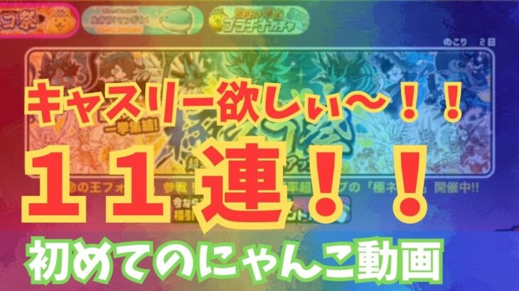 【にゃんこ大戦争】極ネコ際ガチャにチャレンジ！キャスリーを狙ってなけなしのネコカンを使います！！！！！