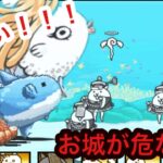 【にゃんこ大戦争】ハマンボ崎あゆみ強襲！！なんだか激戦の匂いがする！