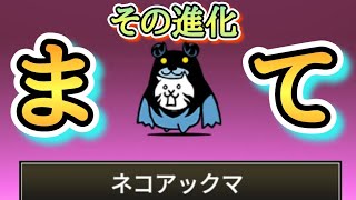 【にゃんこ大戦争】ネコアックマの進化はちょっと考えた方が良いかも、、、@無課金