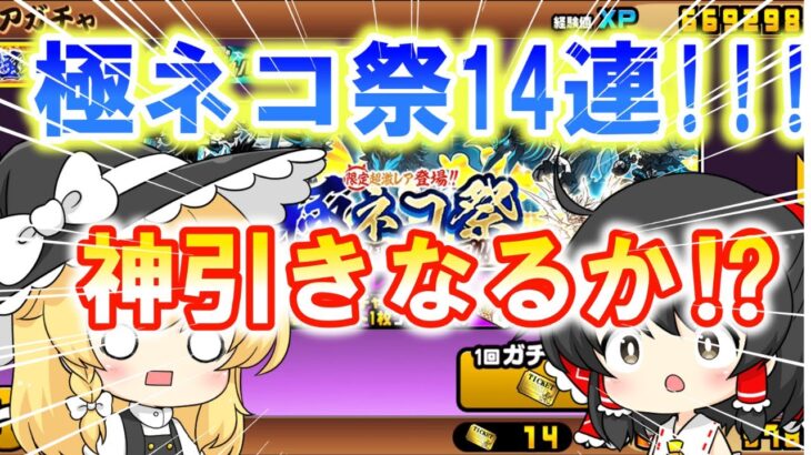 【にゃんこ大戦争】極ネコ祭を14連まわしてみた！まさかのキャラが⁉