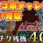 【にゃんこ大戦争】新しいトリセツが作りたい！レアチケ40枚で挑む超ネコ祭チャレンジ　23年8月版