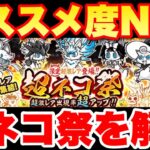 【実況にゃんこ大戦争】オススメ度No1の超ネコ祭ガチャが登場！