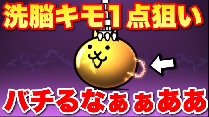 【実況にゃんこ大戦争】洗脳キモ1点狙いでハロウィンガチャ回します！！