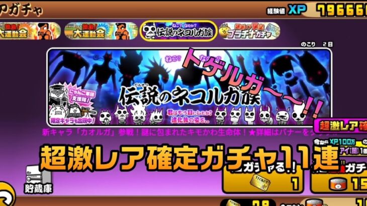 【ガチ勢にゃんこ大戦争】次こそトゲルガ当てる!!超激レア確定11連ガチャ引いてみた!!#にゃんこ大戦争 #ガチャ