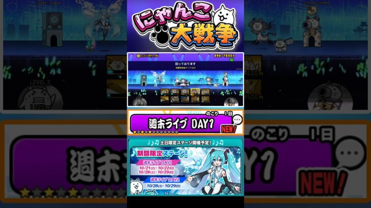 合計130個ネコカンGET出来る週末限定ステージ！！！#にゃんこ大戦争 #battlecats #初音ミク