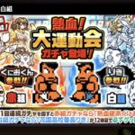 熱血！大運動会ガチャ白組　にゃんこ大戦争