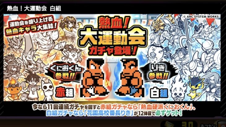 熱血！大運動会ガチャ白組　にゃんこ大戦争