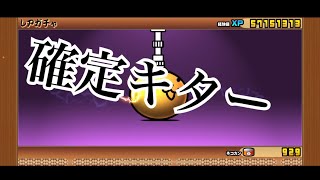 【にゃんこ大戦争】超ネコ祭を引いた結果確定キター